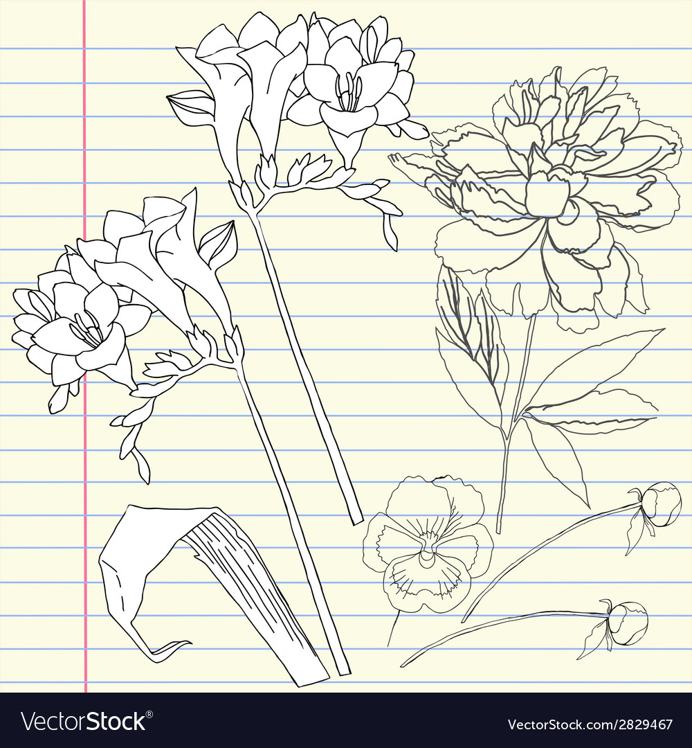 Notebook set with peony and freesia