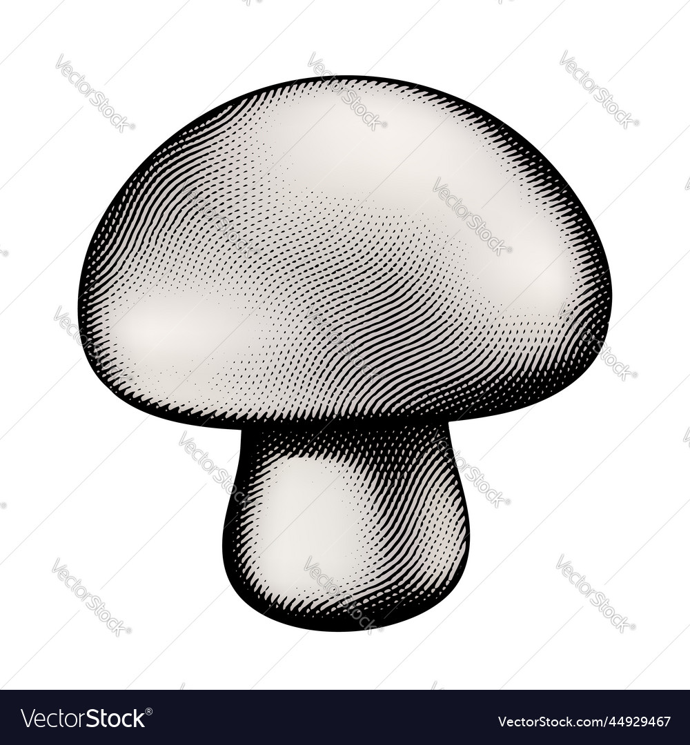 Scratchboard engraved mushroom with beige fill Vector Image