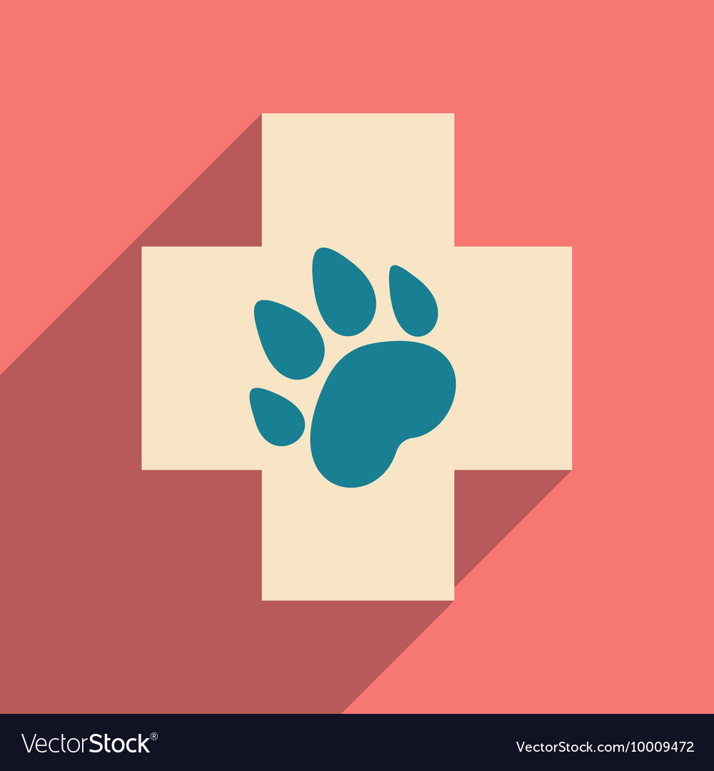 Flat with shadow icon and mobile application