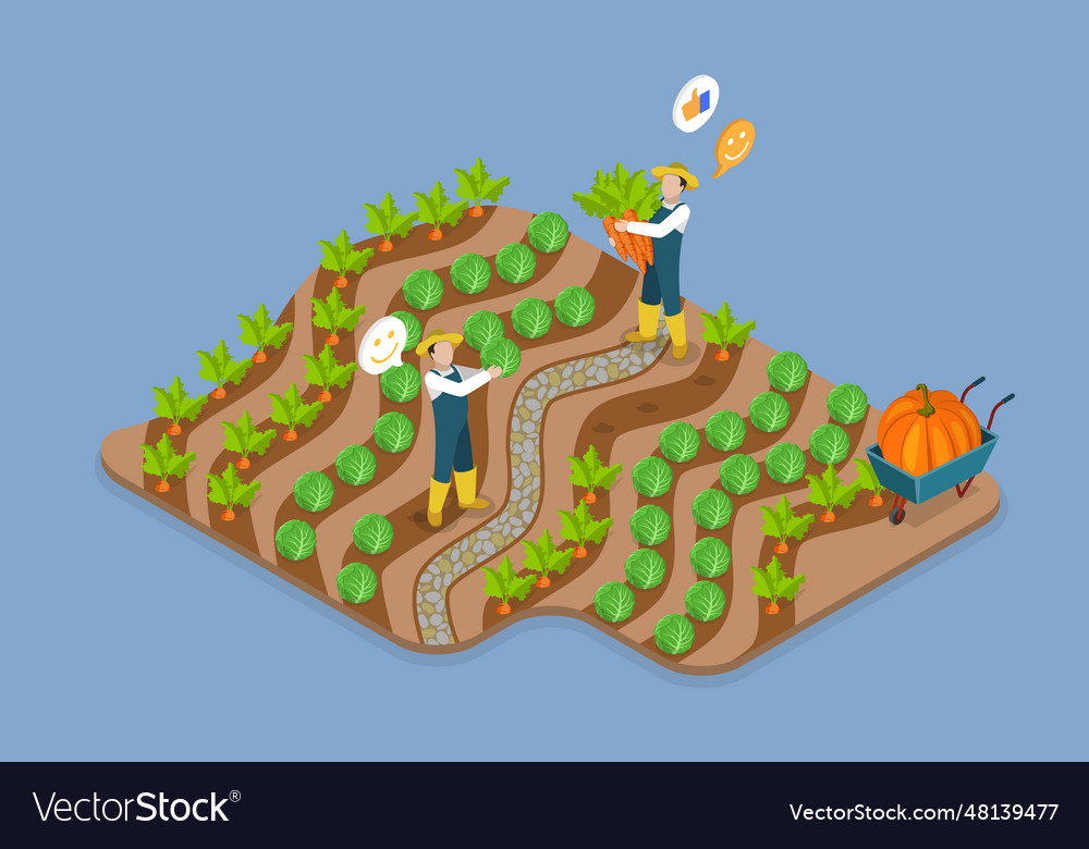 3d isometric flat conceptual Royalty Free Vector Image