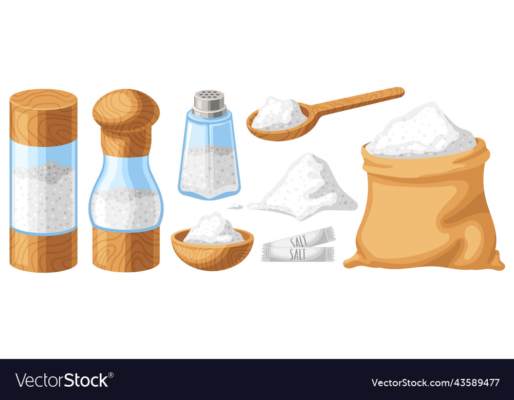 Cartoon salt wooden shaker spoon and bowl bag Vector Image