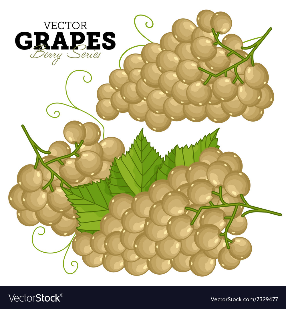 Grape set