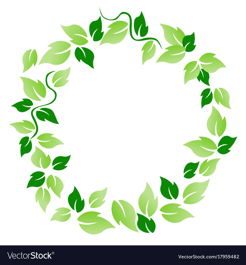 Download Green leaf circle Royalty Free Vector Image - VectorStock