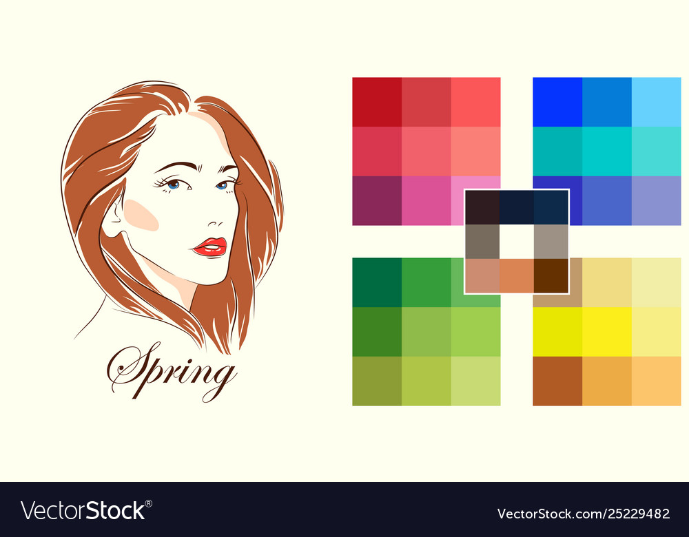 Seasonal color analysis palette for spring type Vector Image