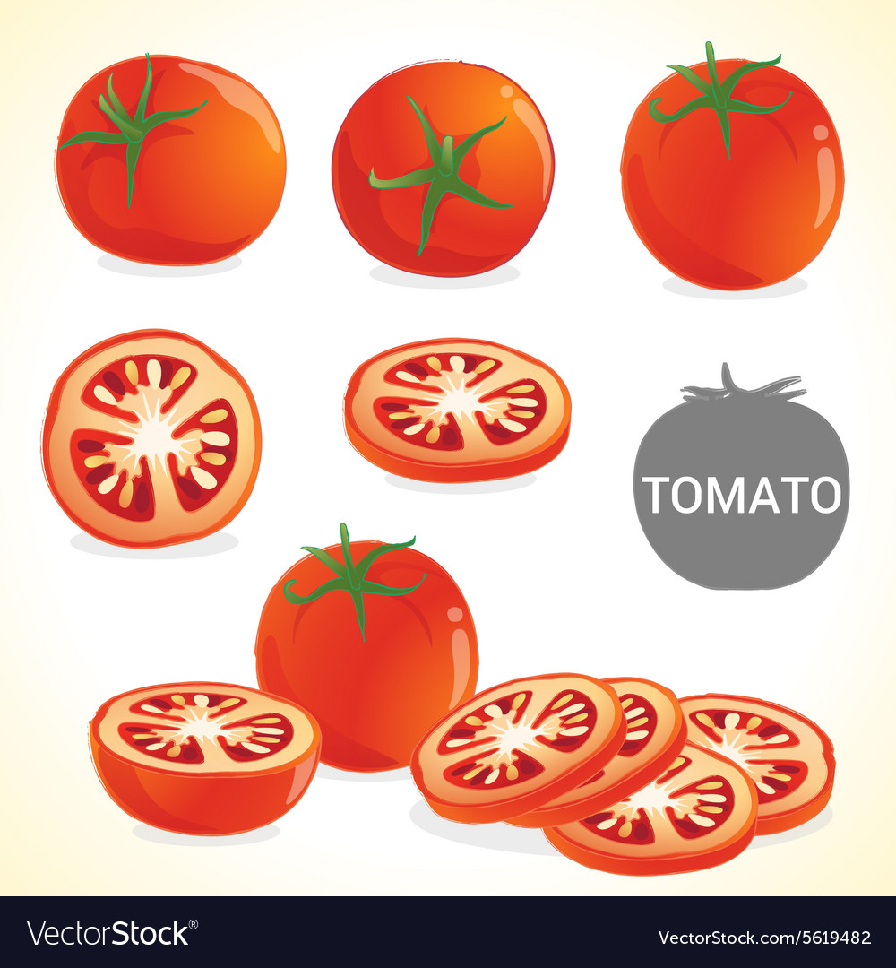 Set of tomato in various styles and format