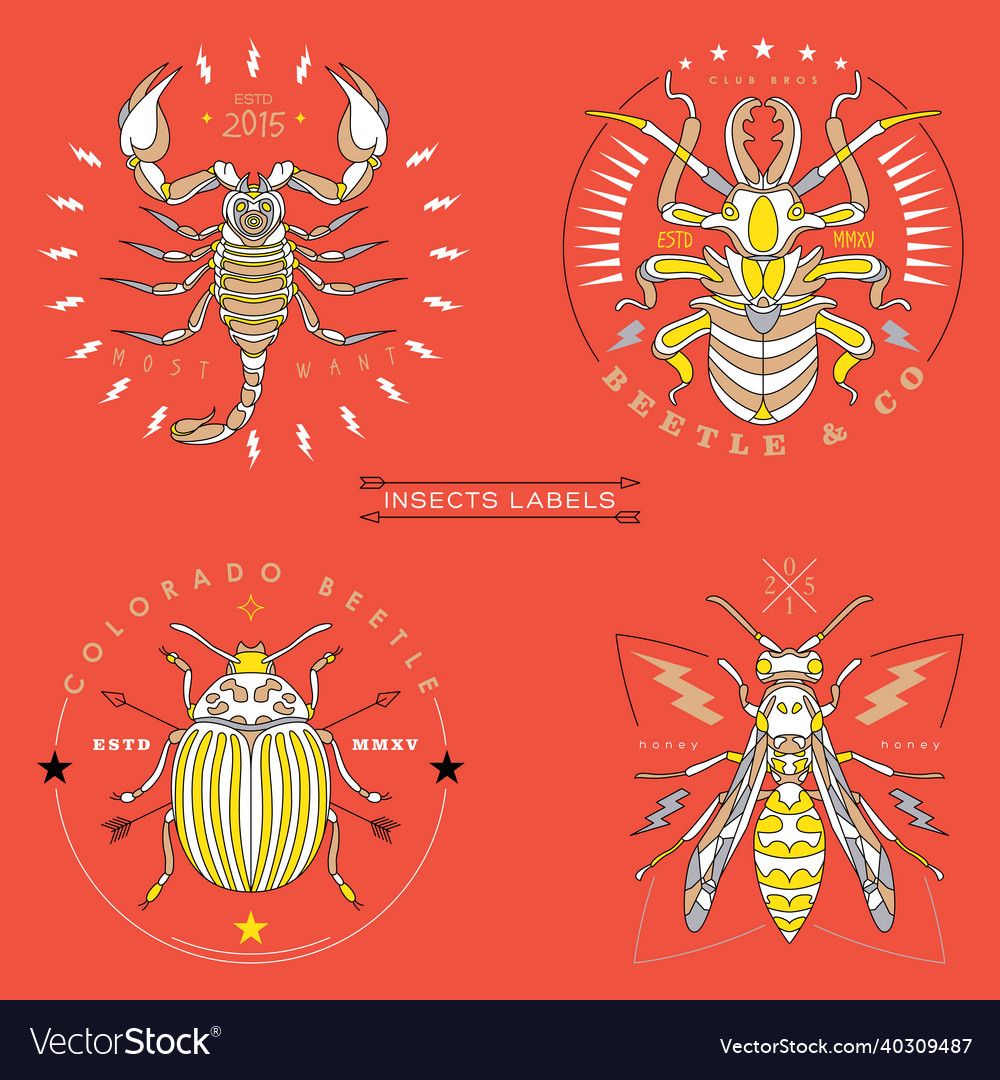 Insects labels and badges Royalty Free Vector Image