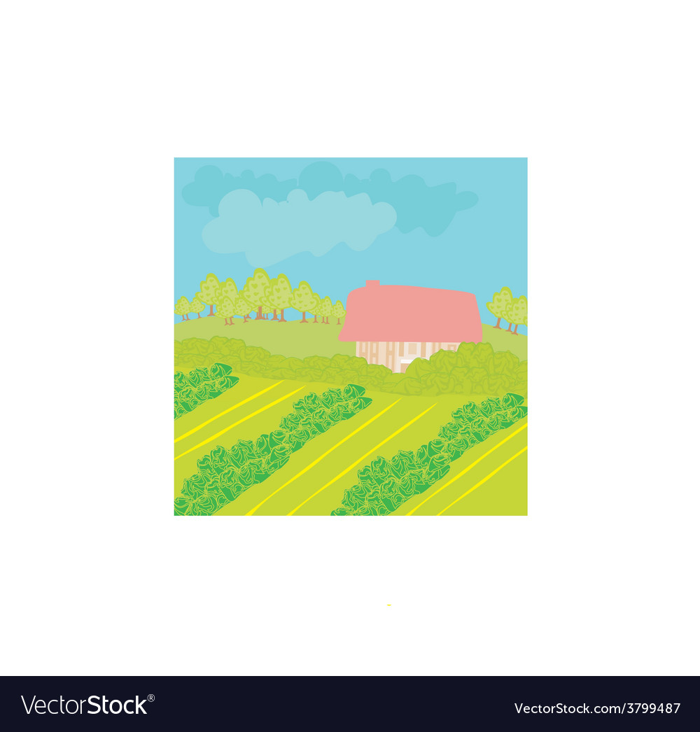 Landscape - farm and fields