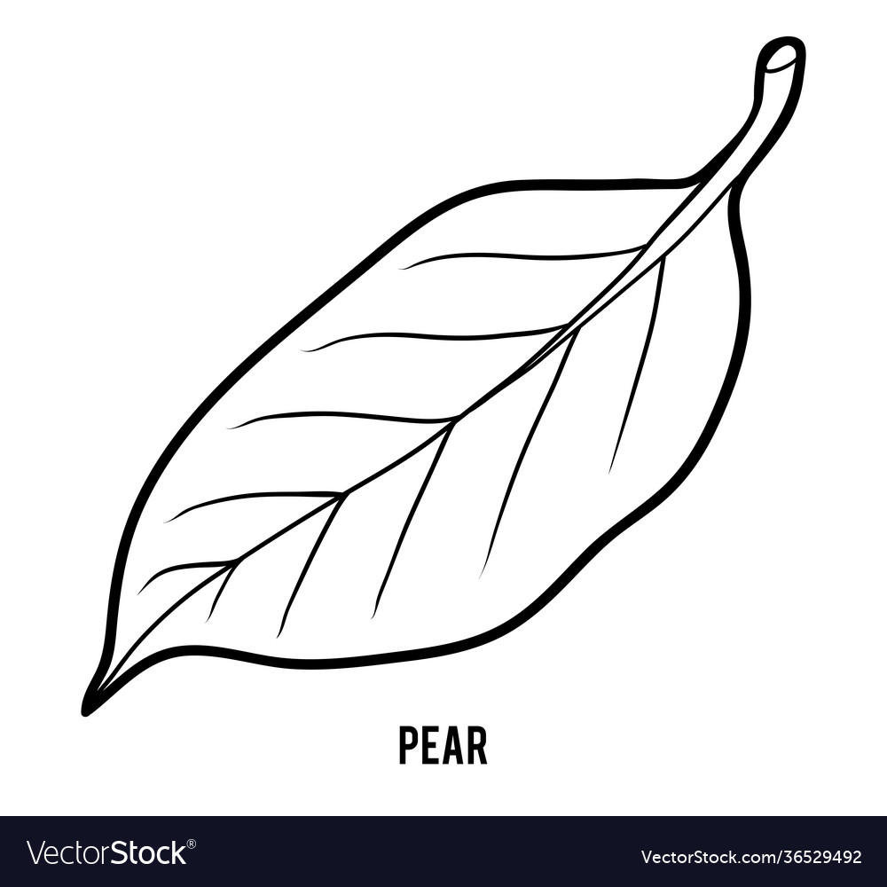 Coloring book for children pear leaf