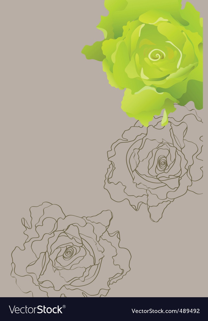 Green rose Royalty Free Vector Image - VectorStock