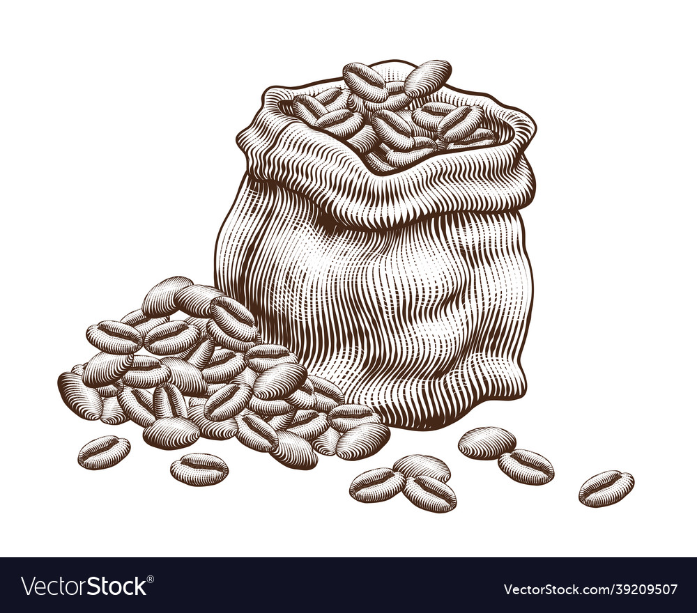 Engraved jute bag of coffee beans Royalty Free Vector Image