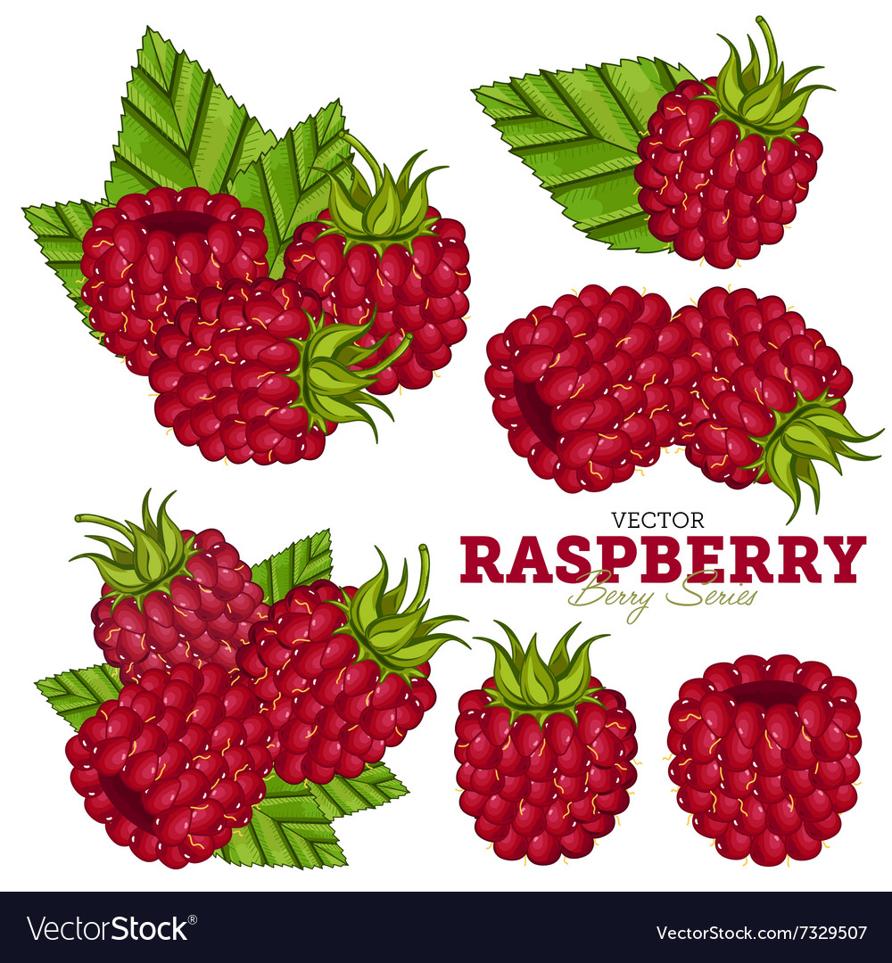 Raspberry set