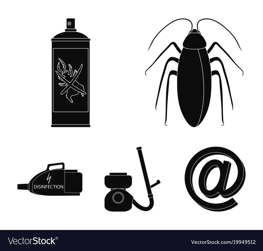 Cockroach and equipment for disinfection black