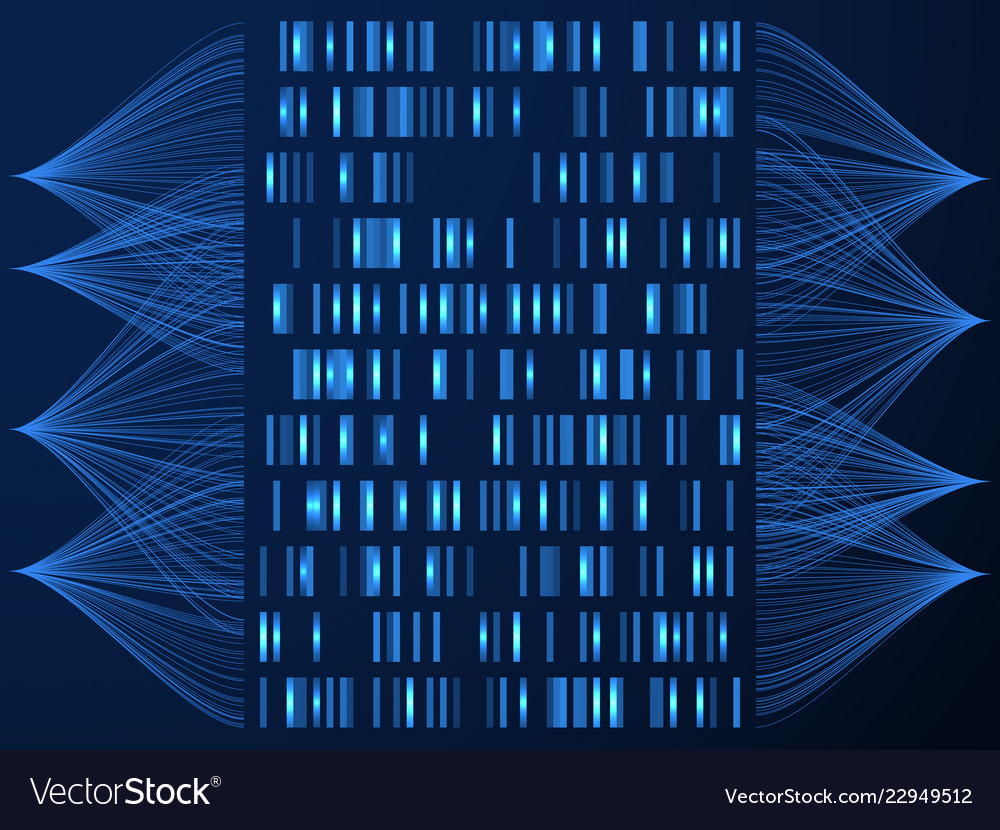 Dna genome concept genome testing medical map Vector Image