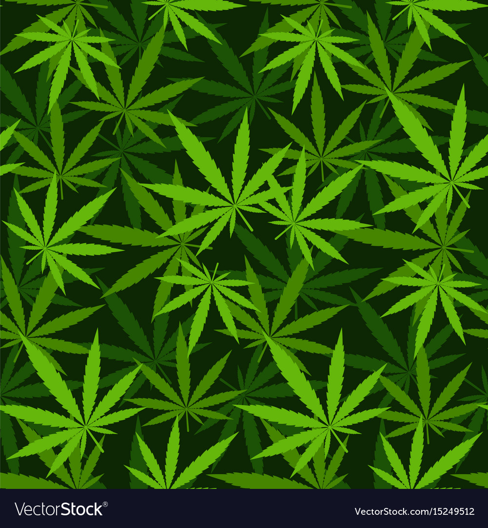 Green marijuana background