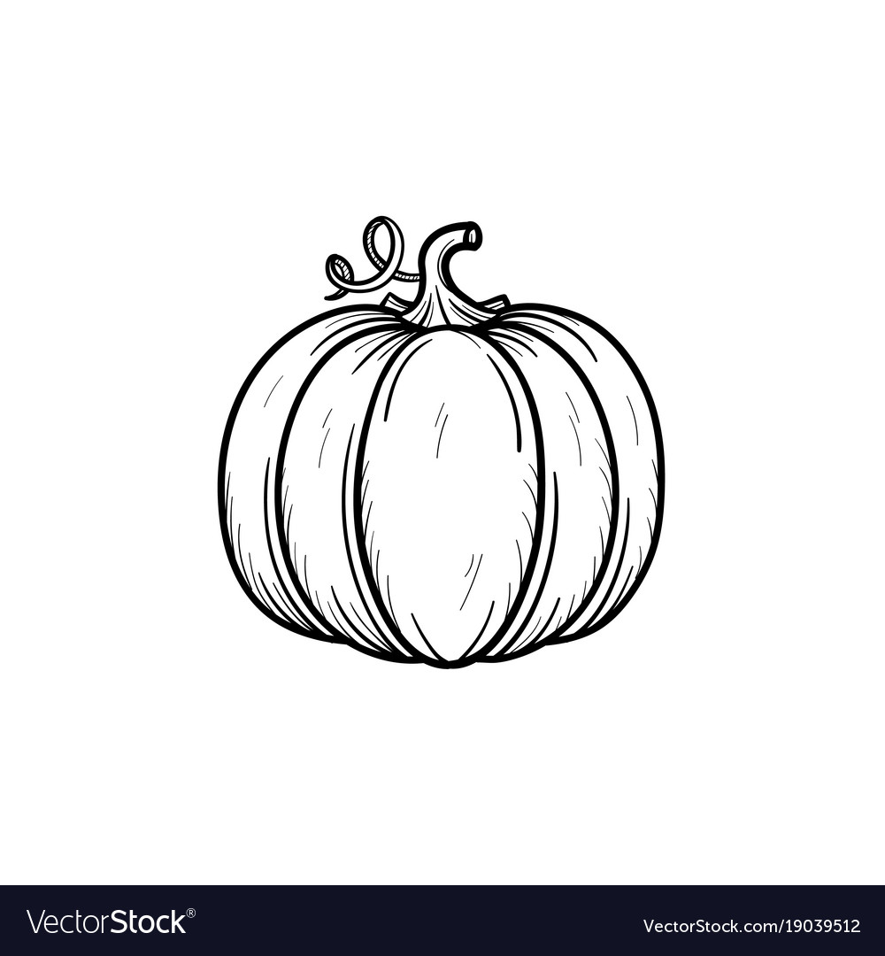 Pumpkin Hand Drawn Sketch Icon Royalty Free Vector Image 1042