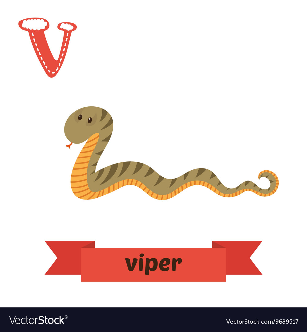 Viper v letter cute children animal alphabet Vector Image Viper v letter cute children animal alphabet Vector Image