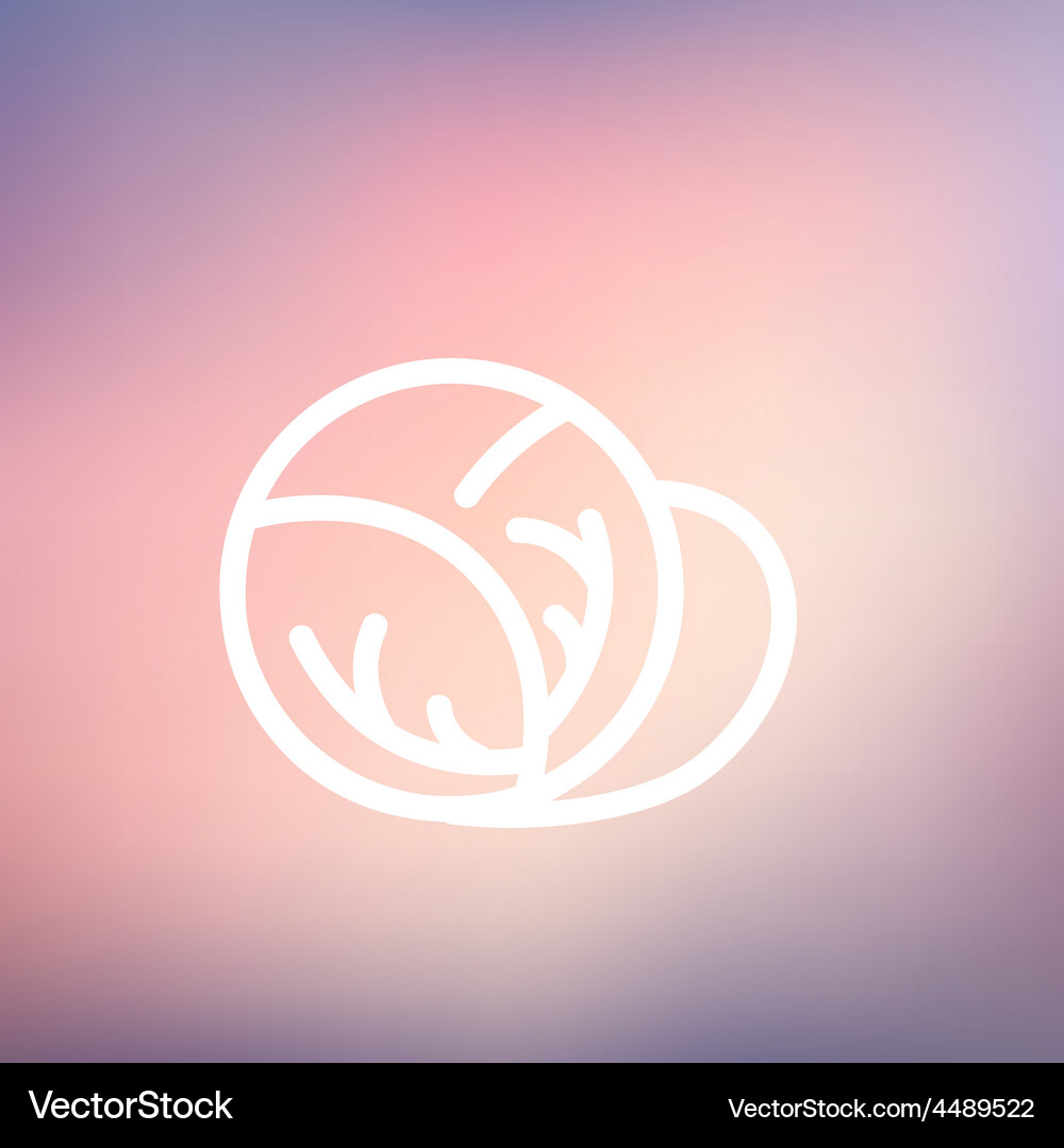 Cabbage thin line icon Royalty Free Vector Image