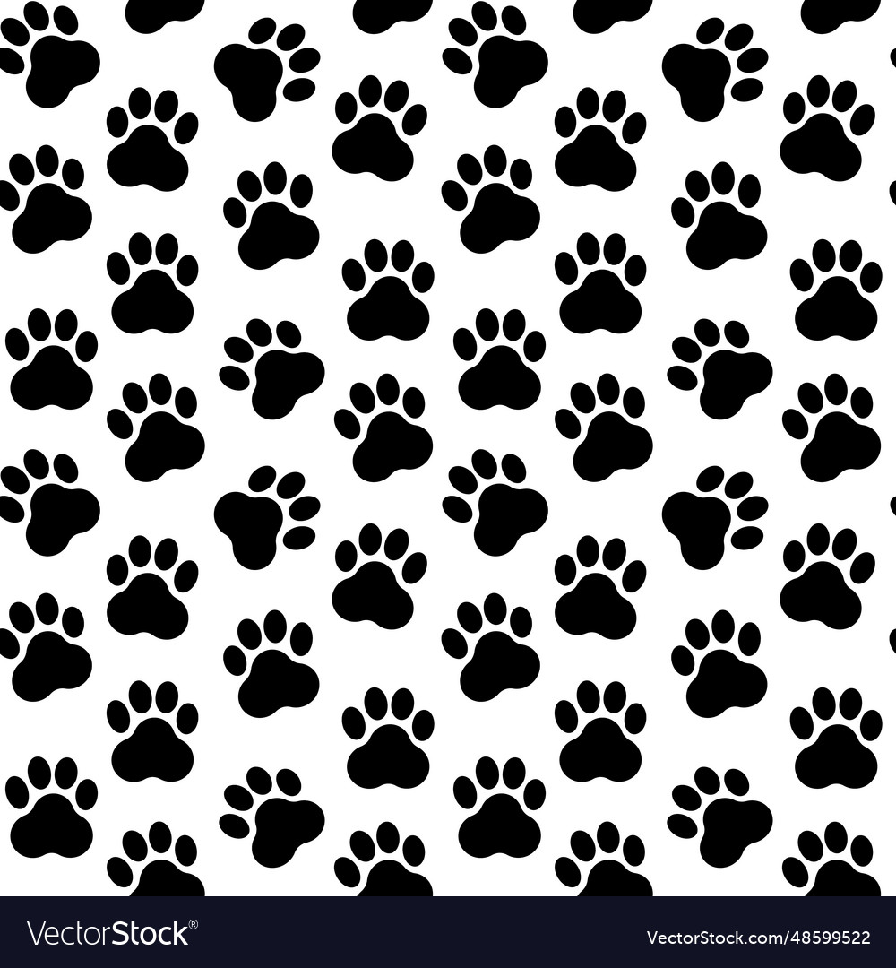 Cat footprint seamless pattern on transparent
