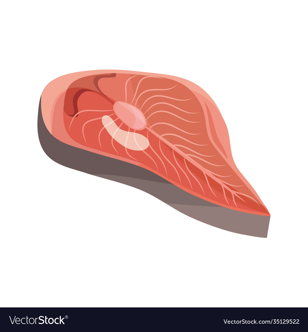 Delicious fresh salmon cut icon