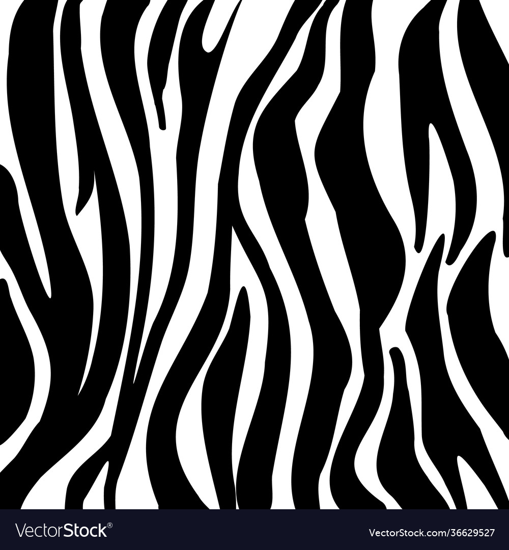 Black and white artwork zebra print animal skin Vector Image