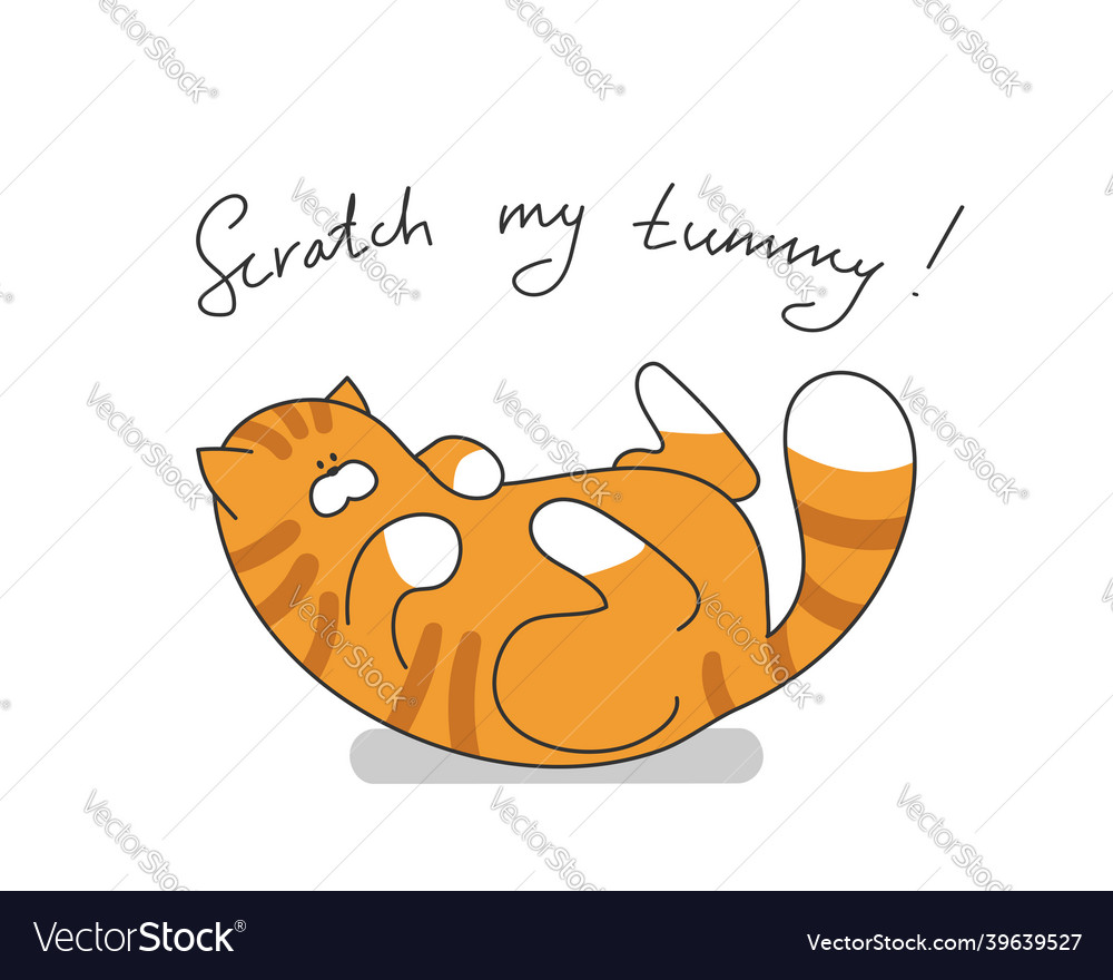 Cartoon cute cat pet funny character with slogan Vector Image