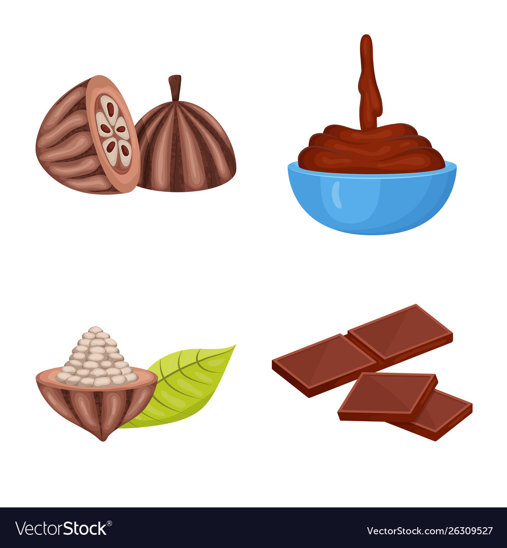 Design cocoa and beans symbol Vector Image Design cocoa and beans symbol