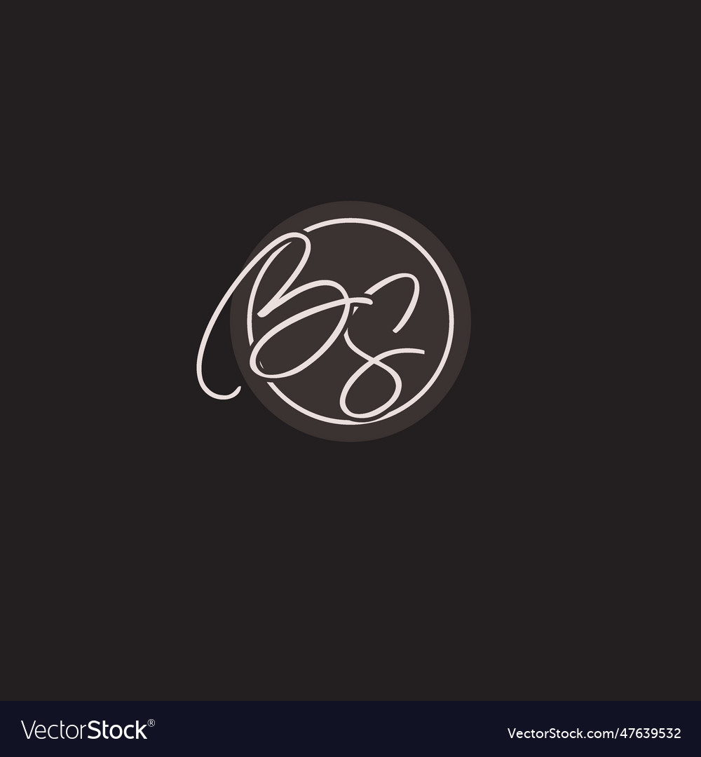 Initials bs logo monogram with simple circle line Vector Image
