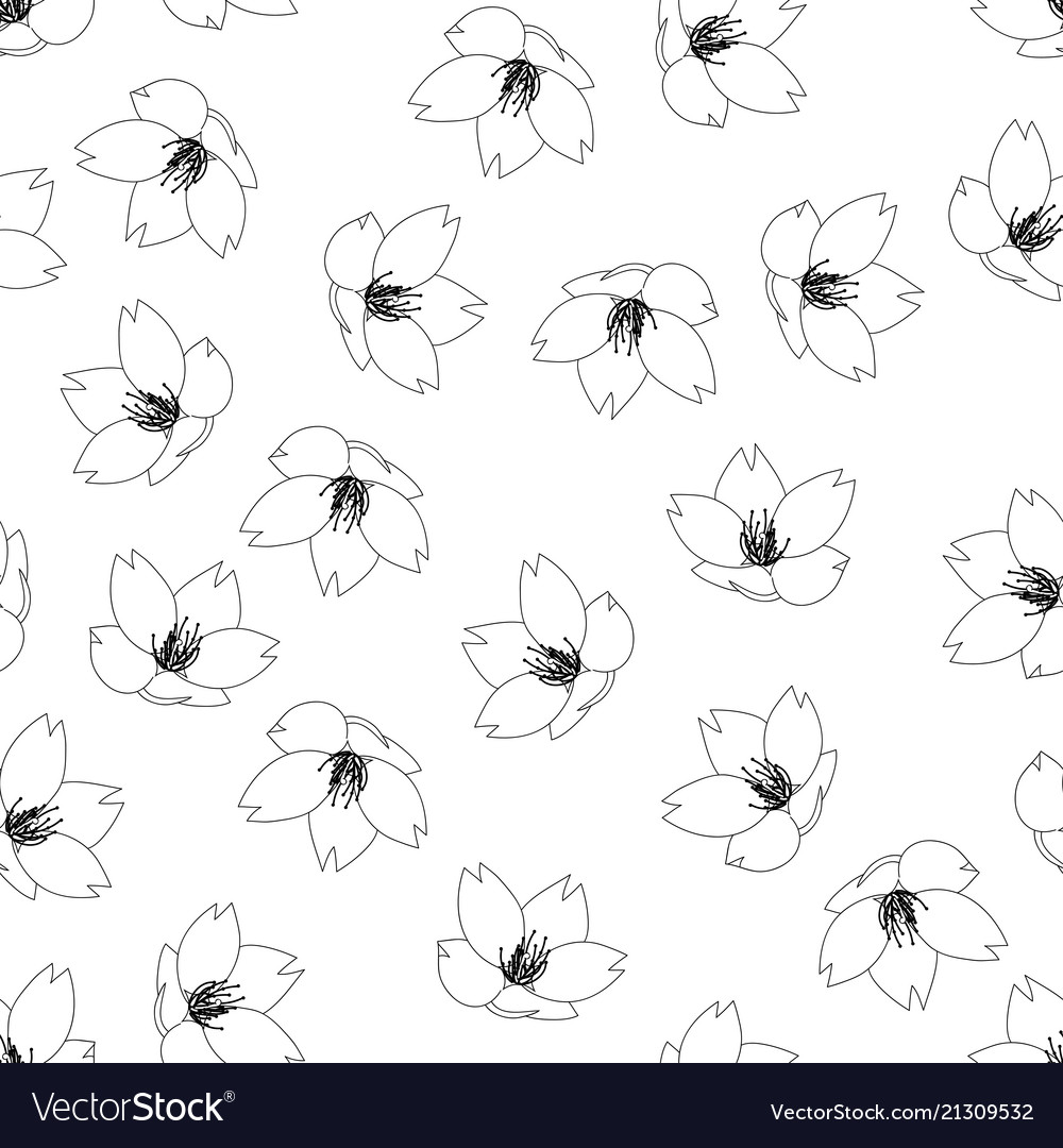 cherry blossom vector outline