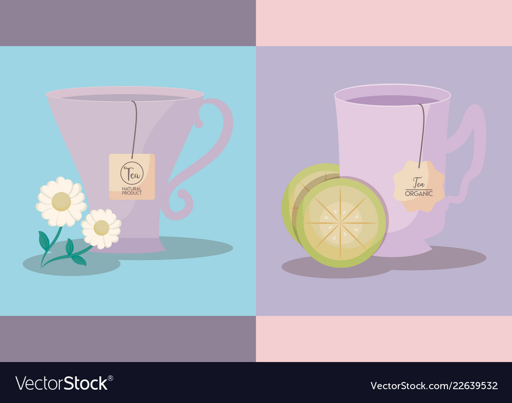 Set of cups tea lemon and chamomile icon