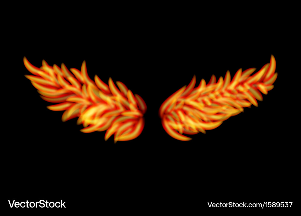 Flame wings Royalty Free Vector Image - VectorStock