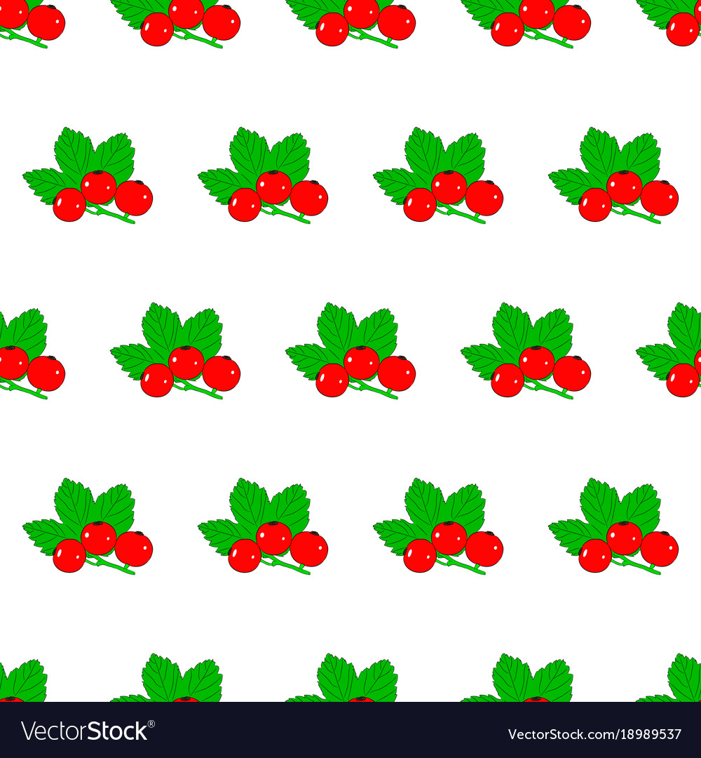 Seamless pattern from red currant with leaves