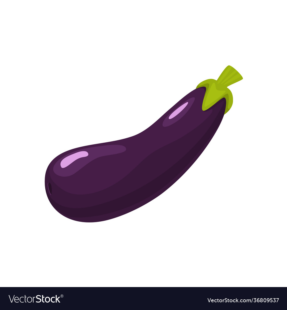 Whole purple cabbage composition Royalty Free Vector Image