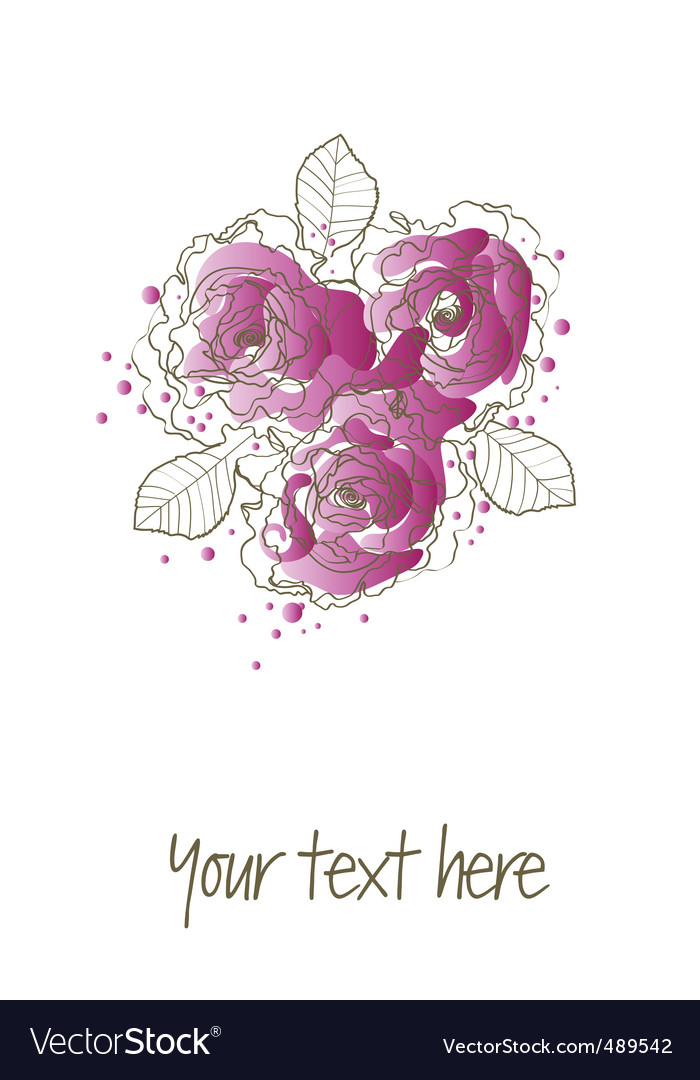 Purple roses Royalty Free Vector Image - VectorStock