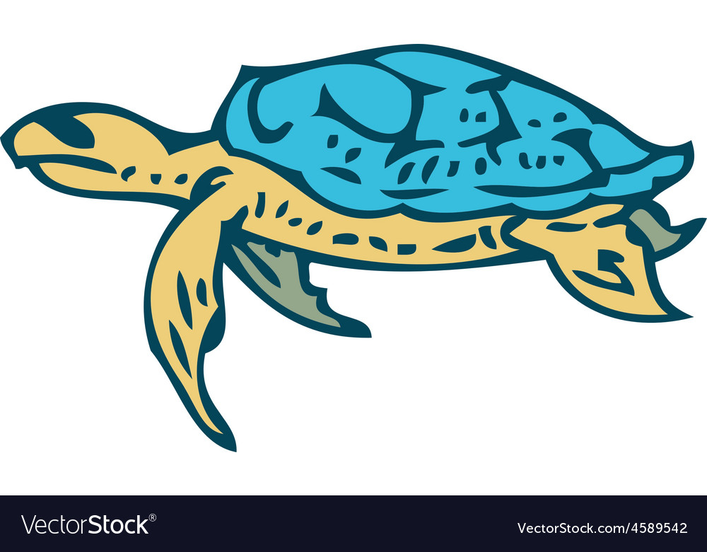 Sea turtle