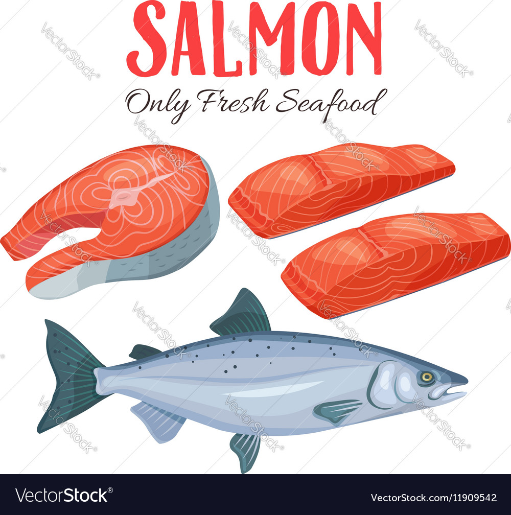 Set salmon Royalty Free Vector Image - VectorStock