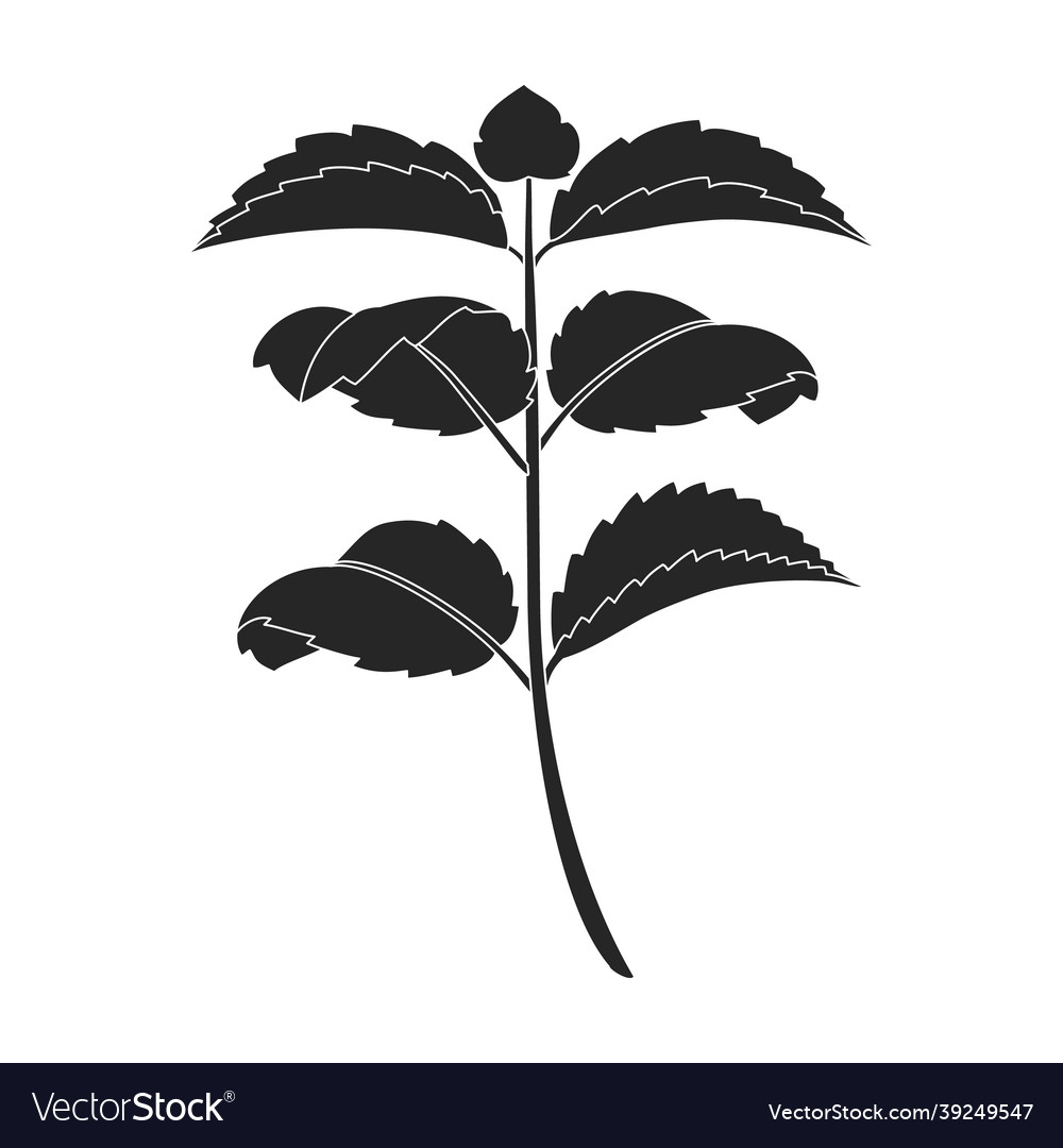 Mint leaf black iconblack