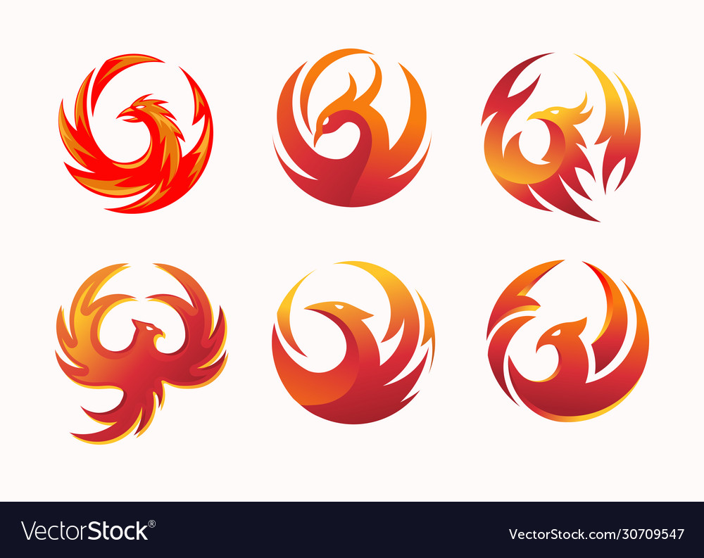 Phoenix circle collection Royalty Free Vector Image