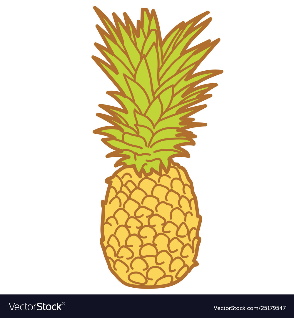 Pineapple eps Royalty Free Vector Image - VectorStock