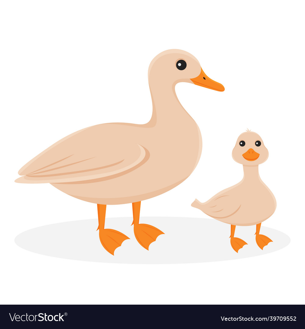 Isolated of a duck with a duckling farm birds Vector Image