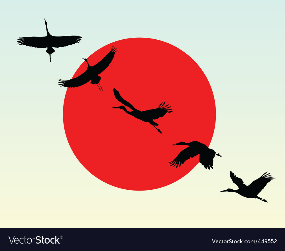 Silhouettes of flying cranes Royalty Free Vector Image