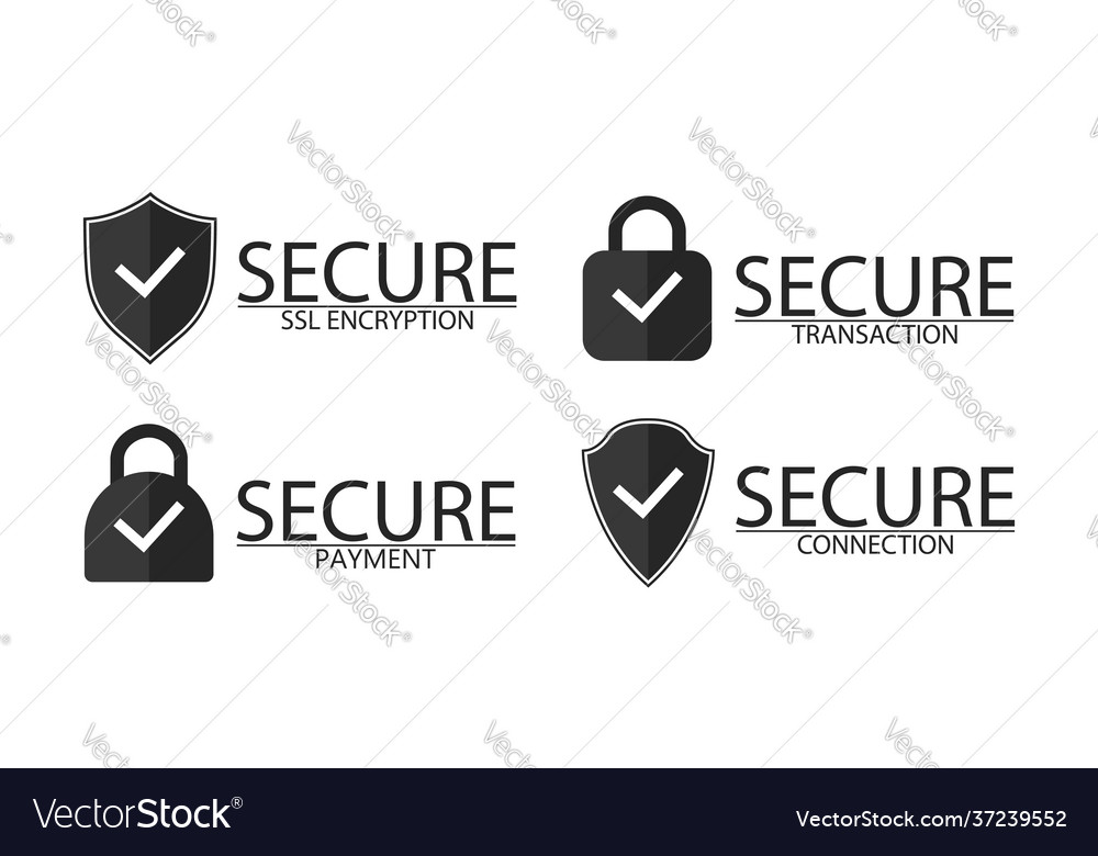 Ssl encryption connection and transaction icon Vector Image