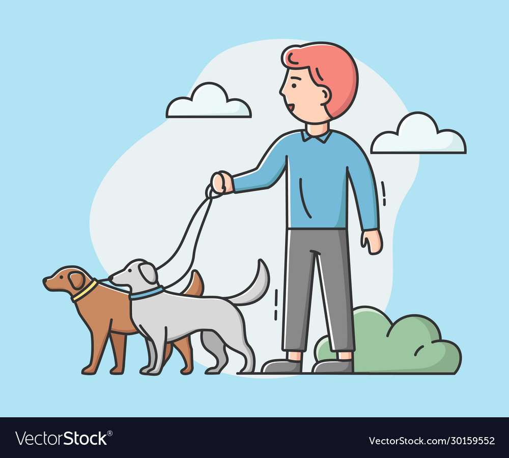 Walking dogs concept male character dog walker