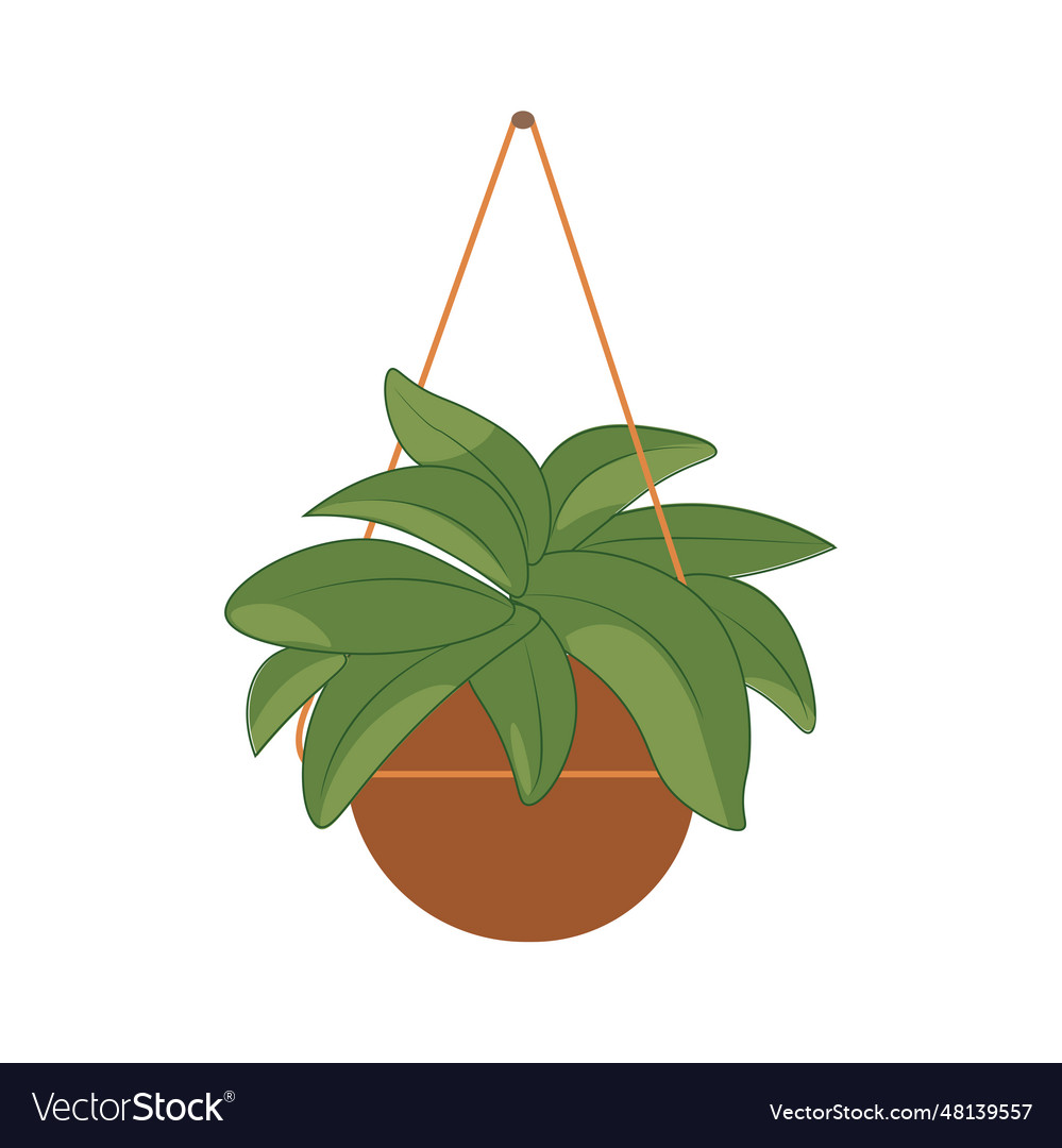 Cute plant in hanging pot indoor house Royalty Free Vector