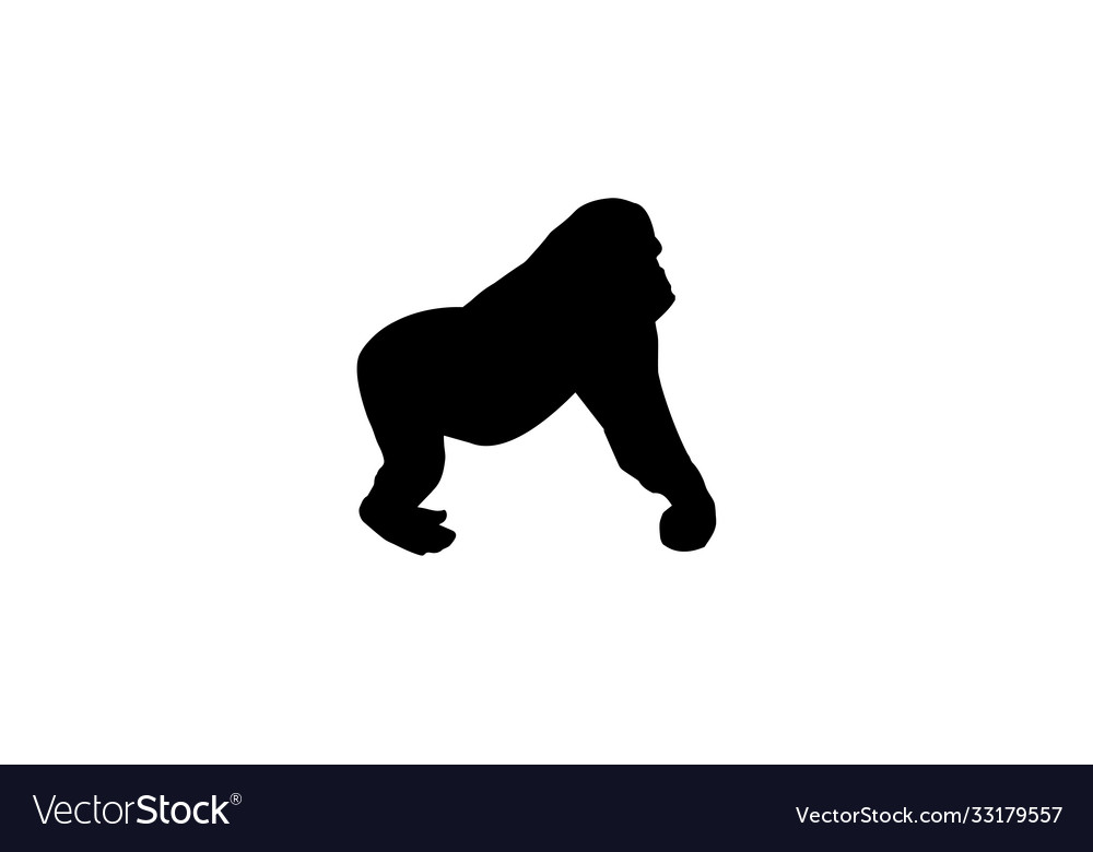 Gorilla symbol monkey