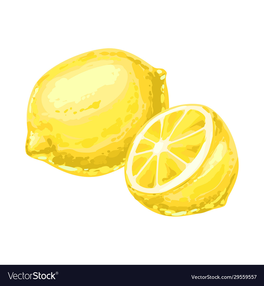 Ripe lemon and slice Vector Image Ripe lemon and slice