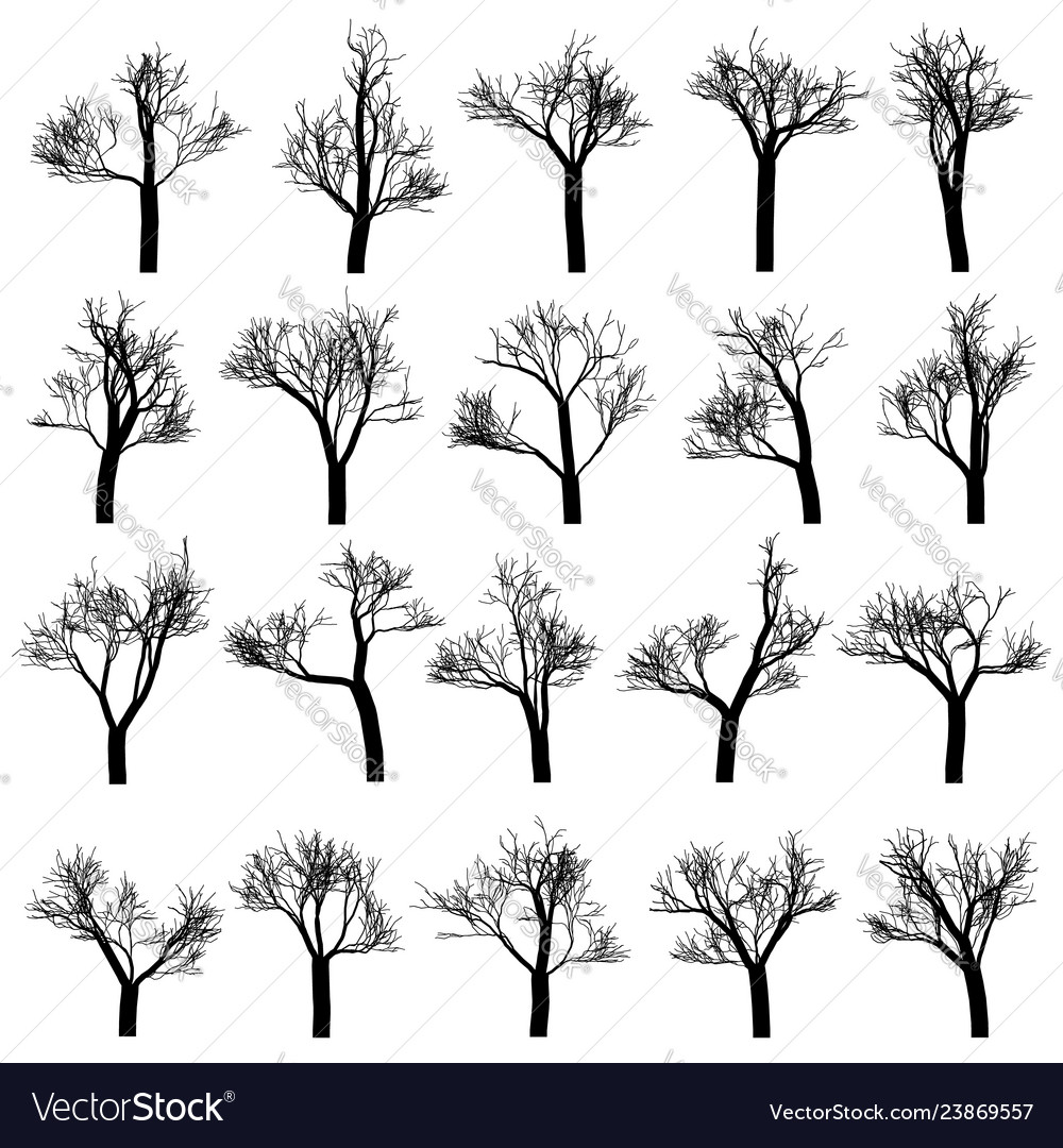 Tree Silhouettes - Botanical Collection