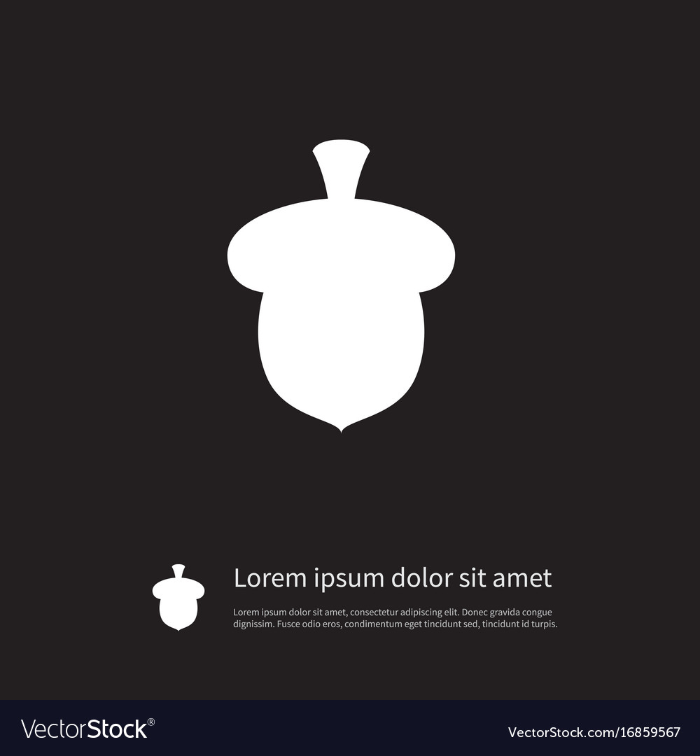 Isolated walnut icon seed element can