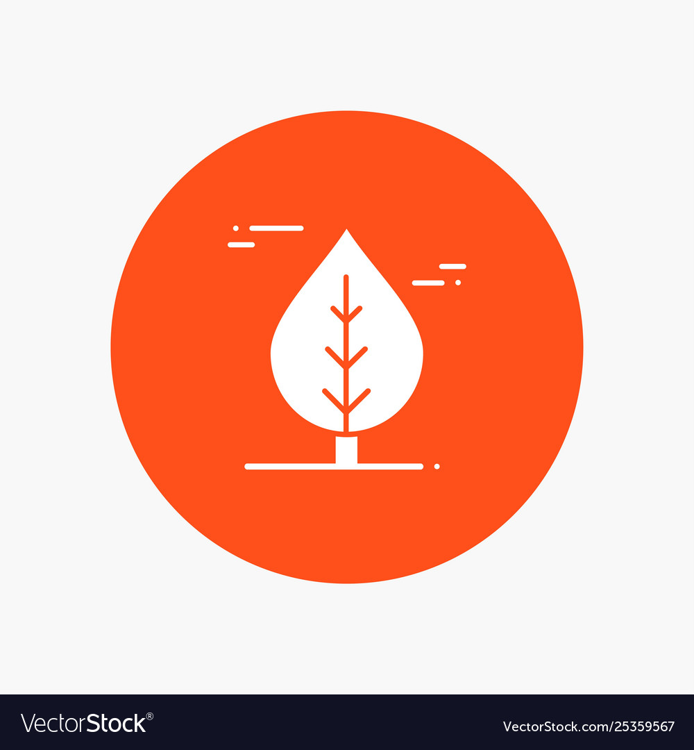 Leaf canada plant Royalty Free Vector Image - VectorStock