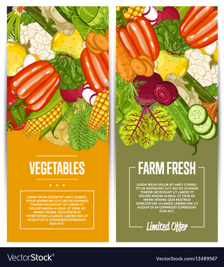 Organic vegetable farming flyers set Royalty Free Vector