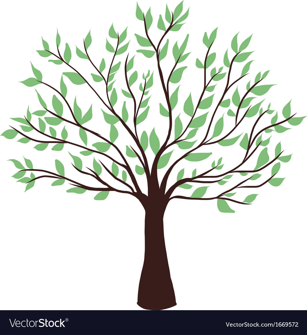 Green tree on white background